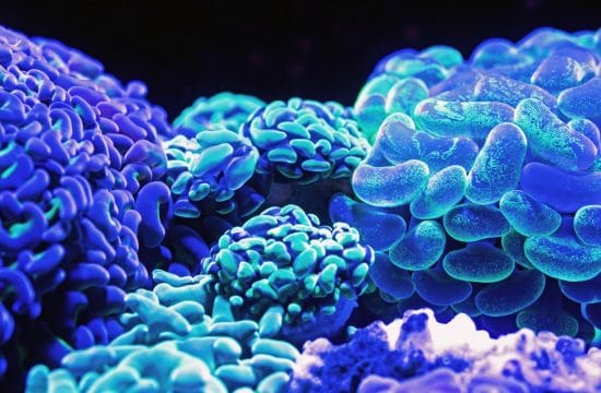 Unhappy with Your Body? Don’t Buck Your Biology!